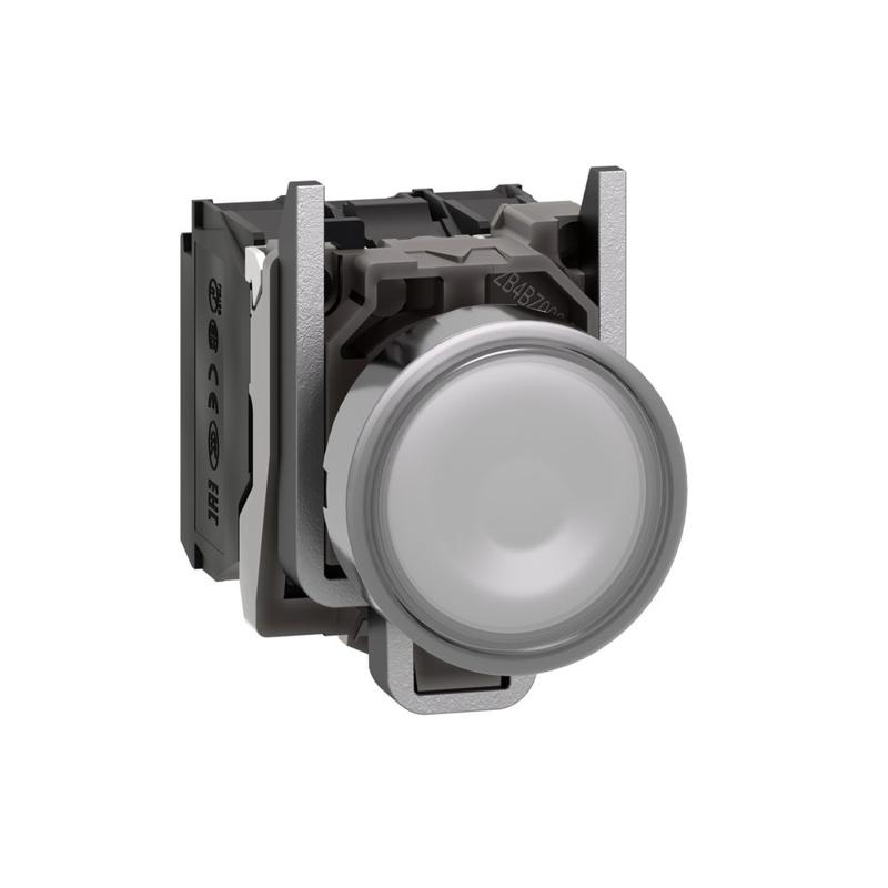 Schneider Electric Illuminated push button, metal, flush, white, Ø22, spring return, 230...240 V AC, 1 NO + 1 NC, manufacturer catalog image
