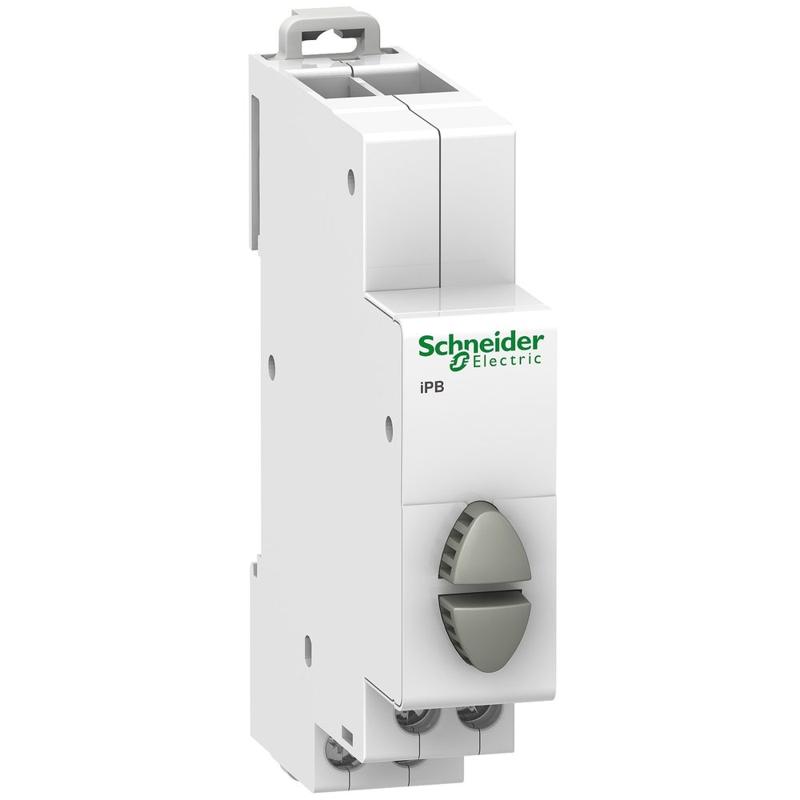 Schneider Electric Acti9 iPB 1NO-1NO double push button grey, manufacturer catalog image