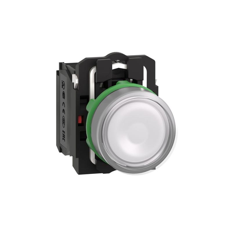 Schneider Electric Illuminated push button, plastic, flush, white, Ø22, spring return, 24 V AC/DC, 1 NO + 1 NC, manufacturer catalog image